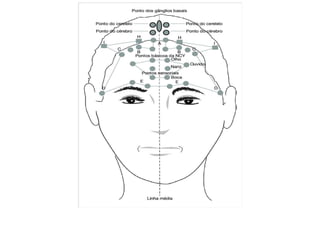 MAPA AURICULOTERAPIA DE A a Z.docx