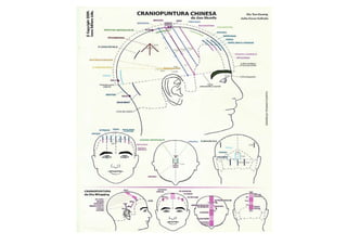 MAPA AURICULOTERAPIA DE A a Z.docx