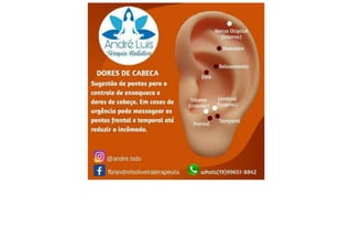 MAPA AURICULOTERAPIA DE A a Z.docx