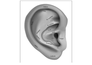 MAPA AURICULOTERAPIA DE A a Z.docx