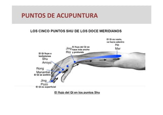 MAPA AURICULOTERAPIA DE A a Z.docx