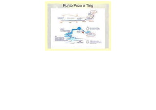 MAPA AURICULOTERAPIA DE A a Z.docx