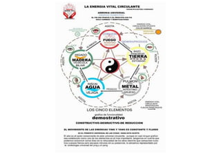 MAPA AURICULOTERAPIA DE A a Z.docx