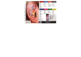 MAPA AURICULOTERAPIA DE A a Z.docx