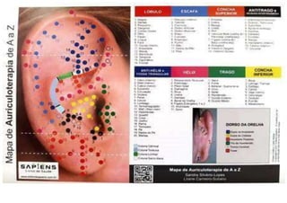 MAPA AURICULOTERAPIA DE A a Z.docx