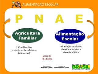 P N A E 
47 milhões de alunos 
da educação básica 
da rede pública 
250 mil famílias 
poderão ser beneficiadas 
(estimativa) 
Cerca de 
R$1 bilhão  