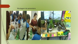 Montagem da sementeira 
 