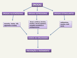 DROGAS ALUCINÓGENAS DROGAS DEPRESSORAS DROGAS ESTIMULANTES
álcool, soníferos, heroína,
morfina, cola de sapateiro,
remédios ansiolíticos e
antidepressivos
maconha, haxixe, LSD,
cogumelos e ecstasy
anfetaminas,
cocaína, crack
merla
DANOS AO ORGANISMO
PREVENÇÃO E TRATAMENTO
 
