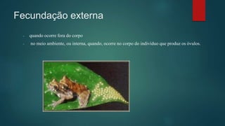 Fecundação externa
- quando ocorre fora do corpo
- no meio ambiente, ou interna, quando, ocorre no corpo do indivíduo que produz os óvulos.
 