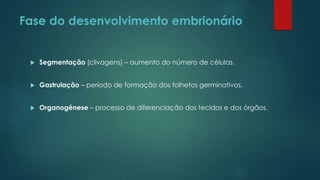 Fase do desenvolvimento embrionário
 Segmentação (clivagens) – aumento do número de células.
 Gastrulação – período de formação dos folhetos germinativos.
 Organogênese – processo de diferenciação dos tecidos e dos órgãos.
 