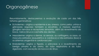 Organogênese
Resumidamente, destacaremos a evolução de cada um dos três
folhetos germinativos:
 Ectoderme – origina a epiderme e seu anexos, como pelos, unhas e
glândulas; organiza também o encéfalo, a medula espinhal,
gânglios nervosos e receptores sensoriais, além do revestimento da
boca, nariz e ânus e o esmalte dos dentes;
 Mesoderme- origina a derme, as serosas, as cartilagens, os ossos, os
músculos estriados (esquelético e cardíaco) e não-estriados (lisos) e
os sistemas urogenital e cardiovascular;
 Endoderme- origina o fígado, o pâncreas e o revestimento da
bexiga urinaria e da uretra, do tubo respiratório e do tubo
dgestorio, com exceção da boca e do ânus;
 