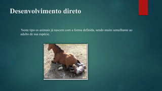 Desenvolvimento direto
Neste tipo os animais já nascem com a forma definida, sendo muito semelhante ao
adulto de sua espécie.
 