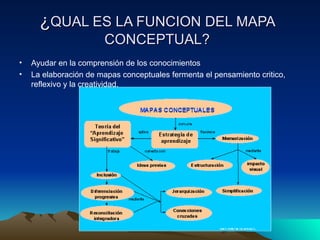¿ QUAL ES LA FUNCION DEL MAPA CONCEPTUAL? Ayudar en la comprensión de los conocimientos La elaboración de mapas conceptuales fermenta el pensamiento critico, reflexivo y la creatividad. 