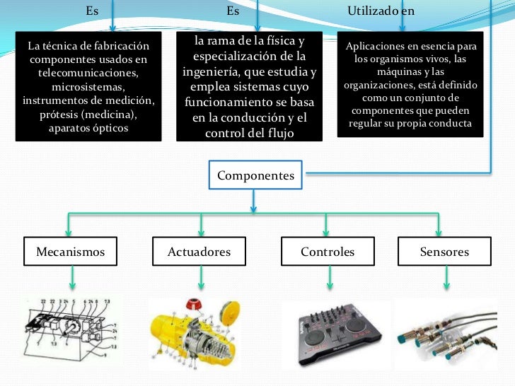 Mapa conceptual