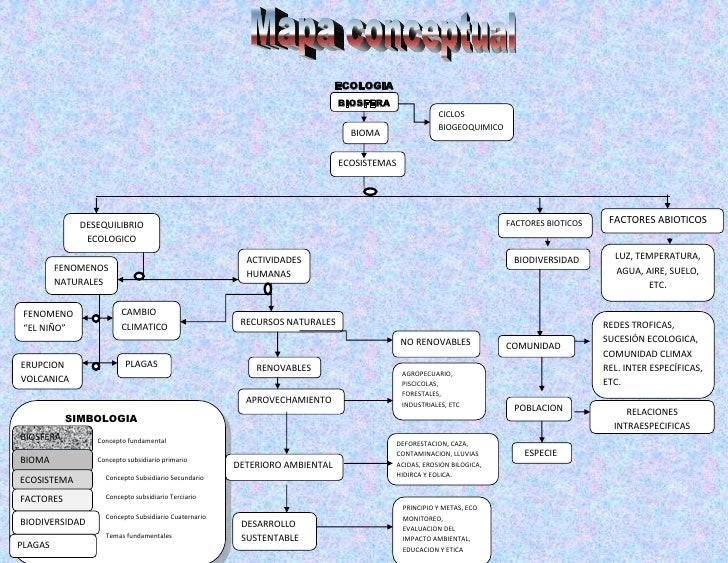 Mapa conceptual