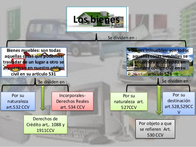 Mapa Conceptual De Bienes Muebles E Inmuebles www.slideshare.net