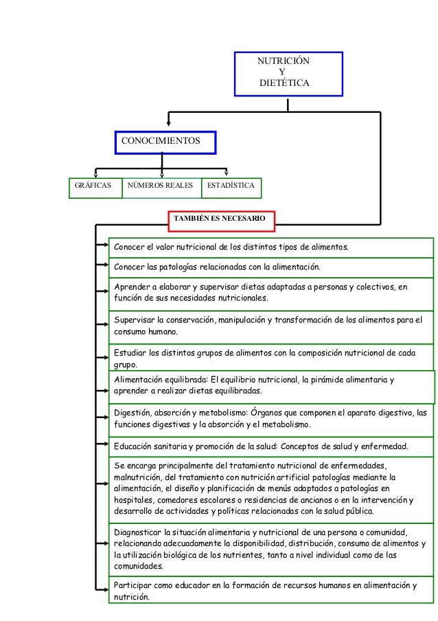Mapa conceptual sobre la nutrición (Raúl).
