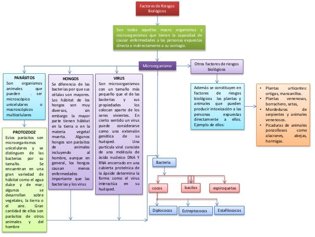 Mapa conceptual