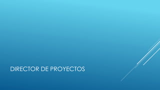 DIRECTOR DE PROYECTOS