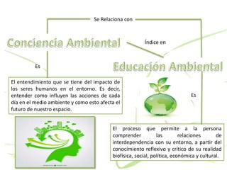 Se Relaciona con
El entendimiento que se tiene del impacto de
los seres humanos en el entorno. Es decir,
entender como influyen las acciones de cada
día en el medio ambiente y como esto afecta el
futuro de nuestro espacio.
Es
El proceso que permite a la persona
comprender las relaciones de
interdependencia con su entorno, a partir del
conocimiento reflexivo y crítico de su realidad
biofísica, social, política, económica y cultural.
Es
Índice en
 