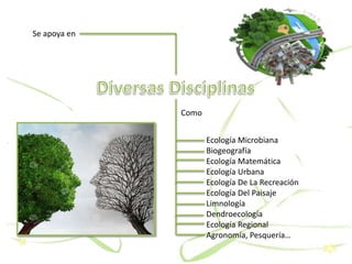 Se apoya en
Como
Ecología Microbiana
Biogeografía
Ecología Matemática
Ecología Urbana
Ecología De La Recreación
Ecología Del Paisaje
Limnología
Dendroecología
Ecología Regional
Agronomía, Pesquería…
 