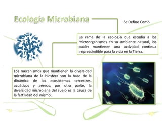 La rama de la ecología que estudia a los
microorganismos en su ambiente natural, los
cuales mantienen una actividad continua
imprescindible para la vida en la Tierra.
Se Define Como
Los mecanismos que mantienen la diversidad
microbiana de la biosfera son la base de la
dinámica de los ecosistemas terrestres,
acuáticos y aéreos, por otra parte, la
diversidad microbiana del suelo es la causa de
la fertilidad del mismo.
 