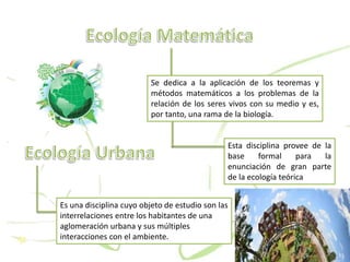 Esta disciplina provee de la
base formal para la
enunciación de gran parte
de la ecología teórica
Se dedica a la aplicación de los teoremas y
métodos matemáticos a los problemas de la
relación de los seres vivos con su medio y es,
por tanto, una rama de la biología.
Es una disciplina cuyo objeto de estudio son las
interrelaciones entre los habitantes de una
aglomeración urbana y sus múltiples
interacciones con el ambiente.
 