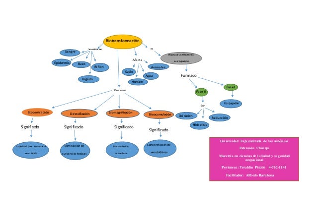 Mapa Conceptual Toxicologia Primeros