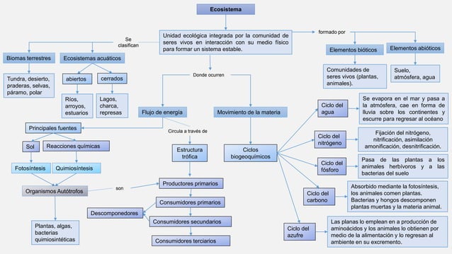 Mapa conceptual de los ecosistemas | PPTX
