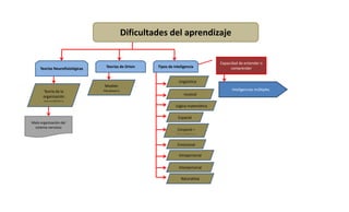 Dificultades del aprendizaje

                                                                                   Capacidad de entender o
     Teorías Neurofisiológicas    Teorías de Orton   Tipos de inteligencia               comprender


                                                                 Lingüística
                                  Modelo
       Teoría de la              Dinámico                                                Inteligencias múltiples
                                                                    musical
       organización
       neurológica
                                                               Lógica matemática

                                                                Espacial
Mala organización del
 sistema nervioso
                                                                Corporal –
                                                                kinestésica

                                                                Emocional

                                                                 Intrapersonal

                                                                 Interpersonal

                                                                  Naturalista
 
