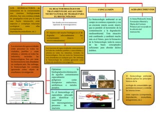 EL REACTOR BIOLÓGICO DE
TRATAMIENTO DE AGUAS COMO
NICHO NATURAL DE TRABAJO PARA
EL BIOTECNÓLOGO
El objetivo del reactor biológico es el de
degradar adecuadamente los
contaminantes (macro y
microcontaminantes).
Los reactores de aguas residuales están presentes
en todaslas ciudades,pueblos y casasaisladas,y
además en todas las industrias, incluidas las
biotecnológicas. Son por tanto los biorreactores
más abundantes en cualquier país. Sin embargo,
la biotecnología los continúa ignorando como
objeto de enseñanza e investigación.
CONCLUSIÓN
La biotecnología ambiental es un
campo en continua expansión y con
un creciente interés social, interés
que es paralelo al incremento de la
contaminación y la degradación
medioambiental. Esta situación
está cambiando y cambiará mucho
más en el futuro, pero la formación
de la biotecnología todavía carece
de las bases conceptuales
suficientes para abordar dichos
ámbitos.
AGRADECIMIENTOS
A Anna Pedescoll, Irena
Fernández-Montiel y
María del Carmen
Polanco por su ayuda en
la edición del
manuscrito.
LOS BIORREACTORES de
tratamiento de la contaminación
son sistemas biológicamente
abiertos, hay una continua entrada
de propágulos existe por lo tanto
una fuerte interacción entre
especies y complejas relaciones
ecológicas entre ellas
(competencia,
depredación,mutualismo,etc.).
Losreactoresde aguasresiduales
están presentes en todas las
ciudades, pueblos y casas
aisladas, y además en todas las
industrias, incluidas las
biotecnológicas. Son por tanto
los biorreactores más abundantes
en cualquier país. Sin embargo,
la biotecnología los continúa
ignorando como objeto de
enseñanza e investigación.
Optimizar la
biodegradación/eliminación
de aquellos contaminantes
especialmente
peligrosos como
disruptores endocrinos,
antibióticos o metales
pesados.
Es el biotecnólogo el
especialista adecuado
para identificar y
cuantificar
los microorganismos
presentes en los
reactores.
El biotecnólogo ambiental
debería aplicar los principios
básicos de la
ecología de comunidades que
permiten reconocery controlar
las interacciones
entre especies (competencia,
depredación, mutualismo,
antagonismo, etc.)
Son donde conviven numerosas
espéciese de microorganismos
 