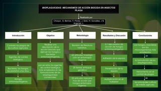 BIOPLAGUICIDAS: MECANISMOS DE ACCIÓN BIOCIDA EN INSECTOS
PLAGA
Choque , A; Berrios, Y; Florez, J; Soto, H; González, J &
Argentel, L.
Realizado por
Metodología
Objetivo
Introducción Resultados y Discusión Conclusiones
Controla las plagas de
los cultivos agrícolas.
Agentes de control
biológico.
Bacterias, los hongos,
los parásitos y los virus.
Hongos
entomopatógenos
Realizar una
descripción de la
acción biocida que
ejercen los hongos y
bacterias
entomopatógenas,
por ser estos los agentes
de control biológico
más empleados en las
formulaciones de los
bioplaguicidas
comerciales.
Revisión de literatura
narrativa.
63 artículos: investiga-
ción en entomopa-
tógenos
20 temas: enfoque
genético
23 artículos: mecanis-
mos de acción por
hongos entomopa-
tógenos
3.1 Mecanismo de
acción de hongos
entomopatógenos
Adhesión de la espora:
Penetración de la
espora
Multiplicación en el
huésped
Los hongos y bacterias
son los
microorganismos más
empleados
la formulación de los
bioplaguicidas,
Herramienta en el
control de plagas
los principales cultivos
de interés agrícola.
en
de
 