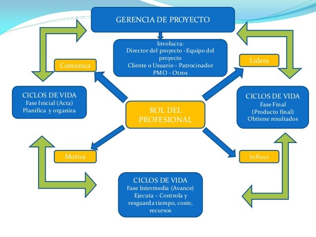 Mapa conceptual gerencia de proyectos