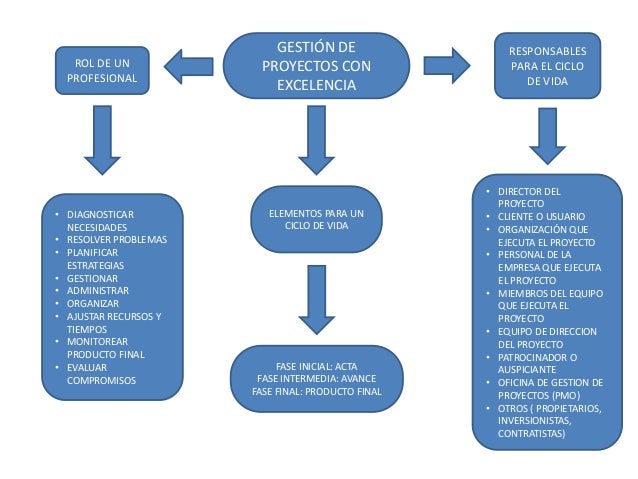Mapa Conceptual Tipos De Proyectos - vrogue.co