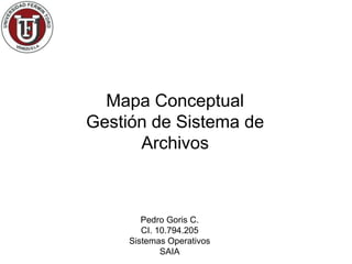 Mapa Conceptual
Gestión de Sistema de
      Archivos



        Pedro Goris C.
        CI. 10.794.205
     Sistemas Operativos
             SAIA
 