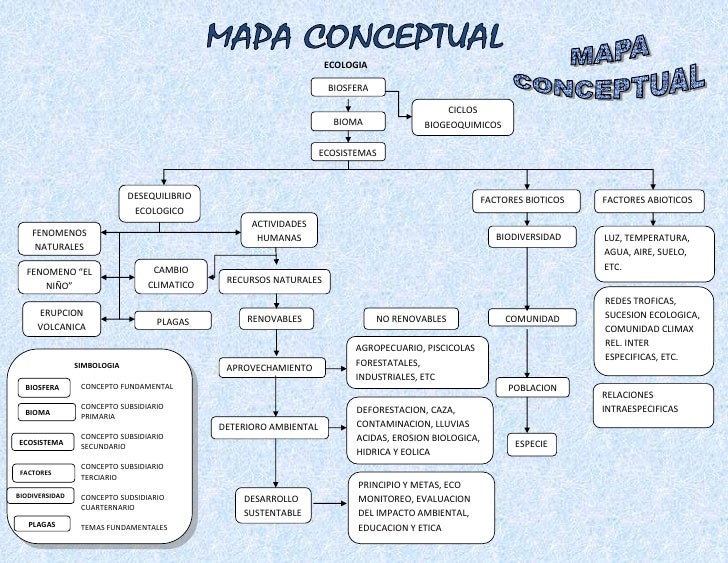 Mapa Conceptual De Comunidad Ecologica PENDIDIK