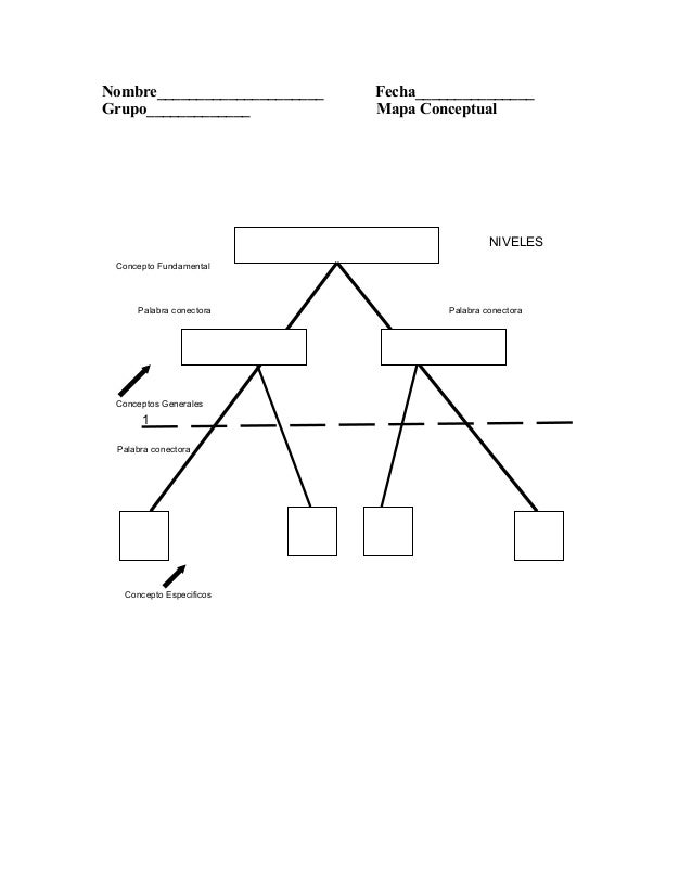 Mapa conceptual niveles