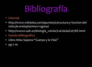 Bibliografía
• Internet
• http://www.wikiteka.com/apuntes/estructura-y-funcion-del-
reticulo-endoplasmico-rugoso/
• http://www2.uah.es/biologia_celular/LaCelula/Cel7RE.html
• Fuente bibliográfica
• Libro Atlas Sopena “Cuerpo y la Vida”
• pg 7-10