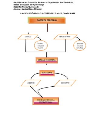 Bachillerato en Educación Artística – Especialidad Arte Dramático
Bases Biológicas del Aprendizaje
Docente: Nancy Quintana B.
Alumna: Martha Rojas Pflucker.
LA EVOLUCIÓN DE LO INCONSCIENTE A LOS CONSCIENTE
SENSACIONES
AFECTIVO COGNITIVO
MEDIO QUE NOS RODEA
CONTEXTO SOCIAL
CORTEZA CEREBRAL
LIMBICO HETEREOTIPICO
-Sistema
nervioso
visceral
-Sistema
nervioso
somático
SISTEMAS DE MEMORIA
 