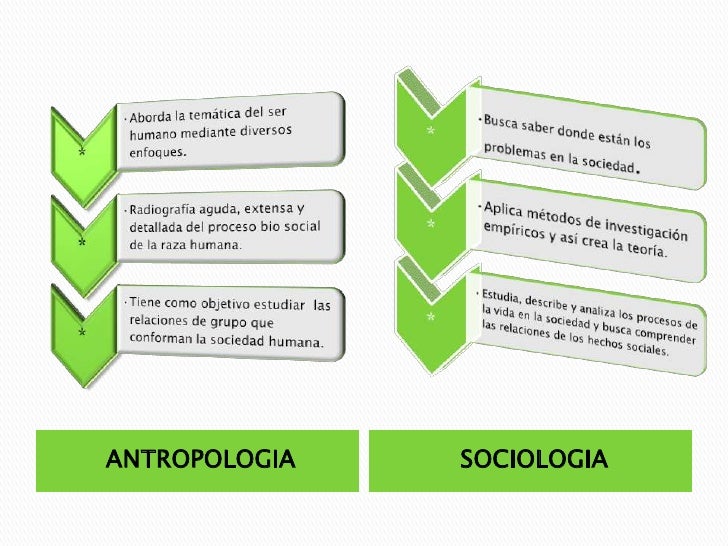 Mapa conceptual antropologia y sociologia dayana belmonte Mapa conceptual antropologia y sociologia dayana belmonte