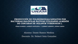 PRODUCCIÓN DE POLIHIDROXIALCANOATOS POR
BACTERIAS HALÓFILAS NATIVAS UTILIZANDO ALMIDÓN
DE CÁSCARAS DE SOLANUM TUBEROSUM L.
CÉSAR GUZMÁN1; ALBERTO HURTADO2, *; CARMEN CARREÑO1; INDIRA CASOS1
Alumno: Dante Ramos Medina
Docente: Dr. Hebert Soto Gonzales
 