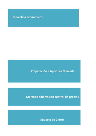 Derechos económicos:
Preparación a Apertura Mercado
Mercado abierto con control de precios
Subasta de Cierre
 