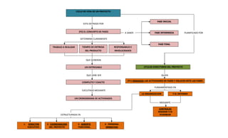 CICLO DE VIDA DE UN PROYECTO 
ESTA DEFINIDO POR 
A SABER PLANIFICADO POR 
(P2) EL CONJUNTO DE FASES 
DETERMINA CLARAMENTE 
QUE GENERAN 
QUE DEBE SER QUIEN 
FUNDAMENTADO EN 
EJECUTADO MEDIANTE 
MEDIANTE 
TRABAJO A REALIZAR 
ESTRUCTURADA EN 
RESPONSABLES E 
INVOLUCRADOS 
TIEMPO DE ENTREGA 
DEL PRODUCTO 
UN ENTREGABLE 
COMPLETO Y EXACTO 
UN CRONOGRAMA DE ACTIVIDADES 
FASE INICIAL 
FASE INTERMEDIA 
FASE FINAL 
(P3)LOS DIRECTORES DEL PROYECTO 
(P1) ORGANIZA LAS ACTIVIDADES EN FASES Y ENLACES ENTE LAS FASES 
LA ORGANIZACION Y EL ENTORNO 
CONTROLES 
RIGIDOS Y/O 
FLEXIBLES 
4. PERSONAL 
OPERATIVO 
3. GERENTE 
FUNCIONAL 
2. COORDINACION 
DEL PROYECTO 
1. DIRECTOR 
EJECUTIVO 
