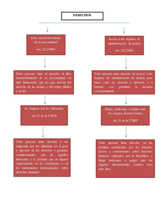 Mapa conceptual constitucional