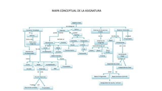 MAPA CONCEPTUAL DE LA ASIGNATURA
 