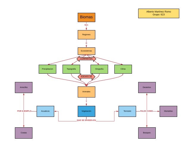 Mapa conceptual de biomas