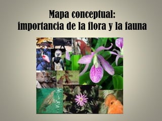 Mapa conceptual:
importancia de la flora y la fauna
 