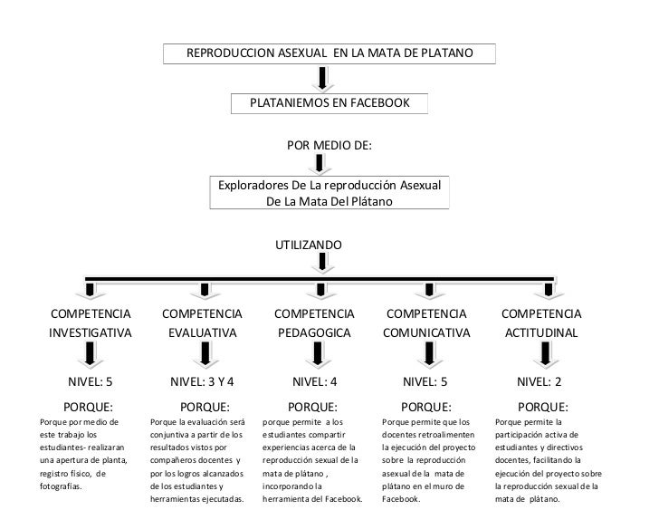 Mapa conceptual de la reproduccion asexual en la mata de