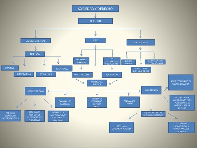 Mapa conceptual de la sociedad y el derecho