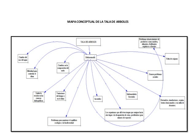 Mapa conceptual de la tala de arboles